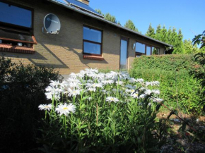 Æbelø-guidens B&B